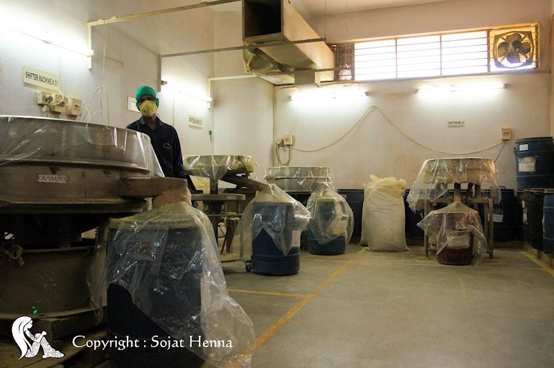 トラバリーの工場の品質管理。篩の工程がすごい